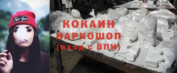 дживик Корсаков