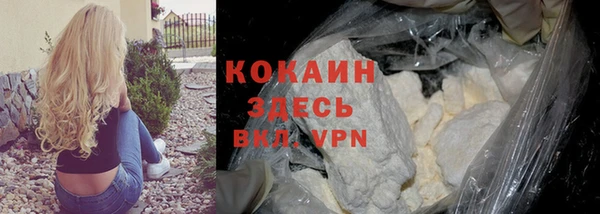 гидра Костерёво