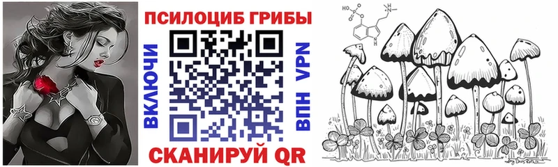 Псилоцибиновые грибы Magic Shrooms  Назрань 